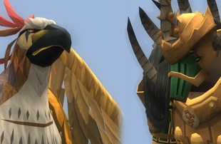 Bird and the beast-11115948