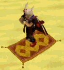 Carpet run