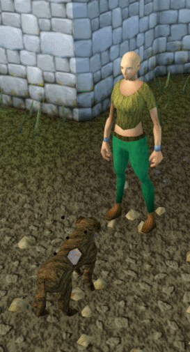 Shoo away stray dog