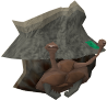 Caranguejo de granito cabeça