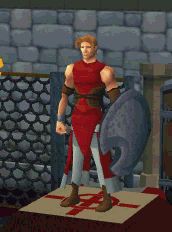 Defensive shield (Magic)