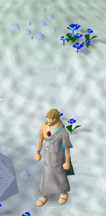 Runescape spells lunarspells humidify