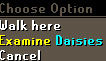 Examine