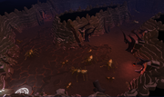 Cave bugs