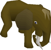Mammoth Unused Model