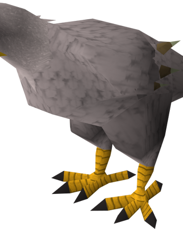 Giant Eagle Runescape Wiki Fandom