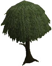 Willowtree2