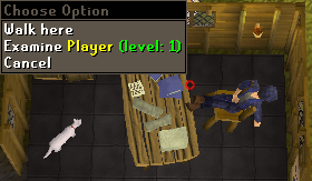 Invisible player