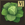 Gower Quest icon