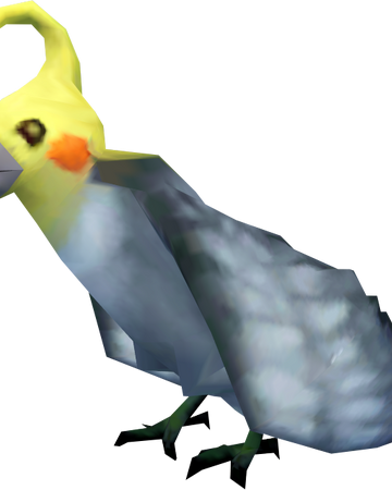 Cyclosis Cockatiel Runescape Wiki Fandom