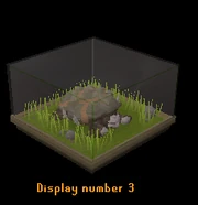 Battle tortoise display