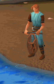 Fishing with Net