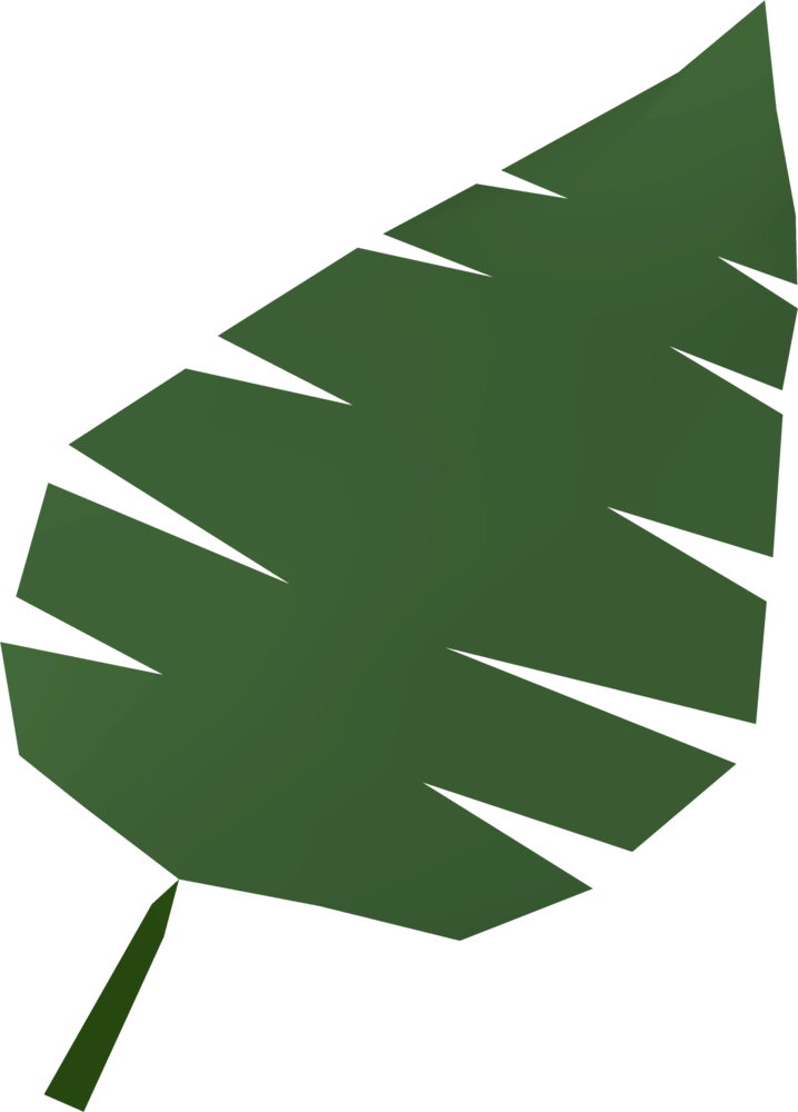 Palm leaf detail