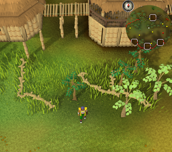 Treasure Trails Guide Emotes Runescape Wiki Fandom