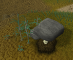 Restless Skull