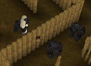 2 Apes