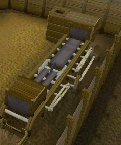 Sawmill conveyor belt