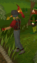 Juju wc visual