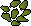 Leaves (yew)