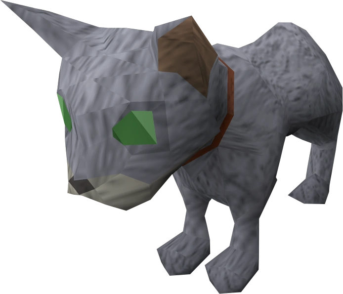 Bones (kitten) RuneScape Wiki FANDOM powered by Wikia