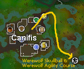 Werewolf agility location
