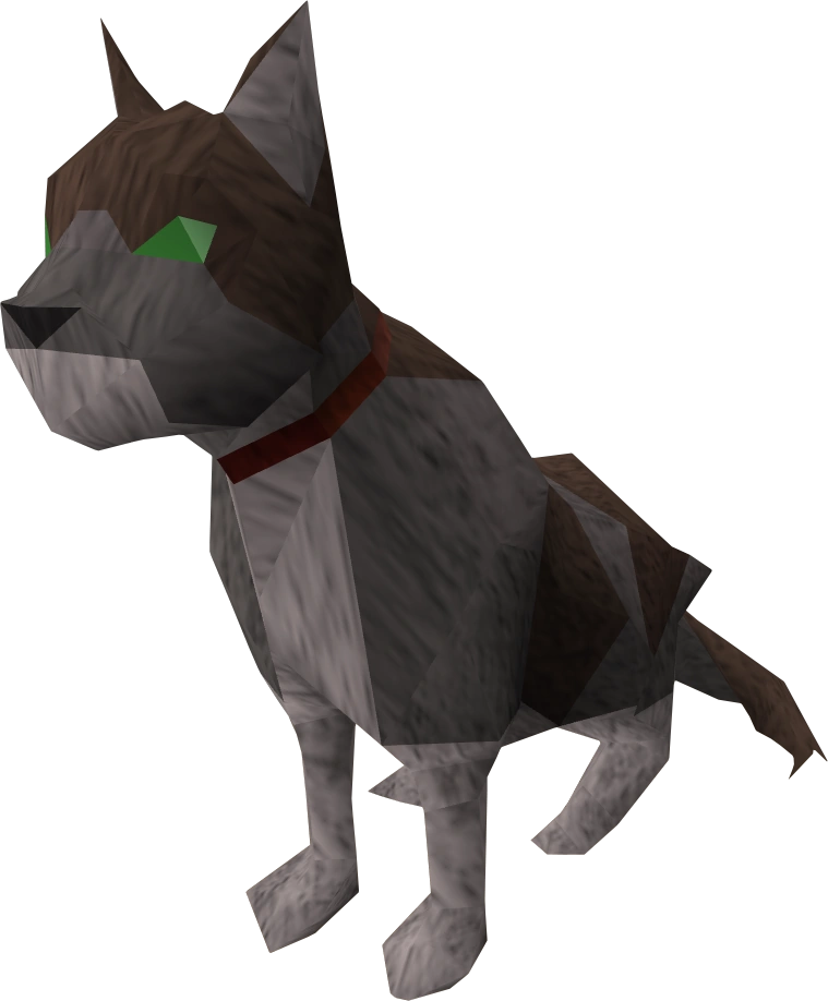 Dromund's cat RuneScape Wiki FANDOM powered by Wikia