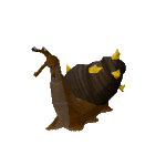 Thorny snail