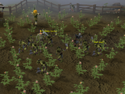 Goblin raid
