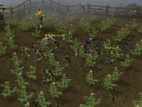 Goblin raid