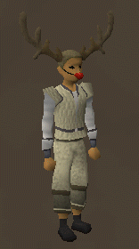 Reindeer