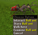 Bullant2