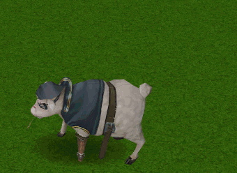Pirate sheep emote