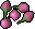 Orchid seed (pink) 5