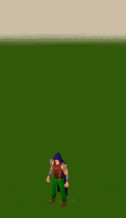 Agility Emote