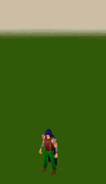 Agility Emote
