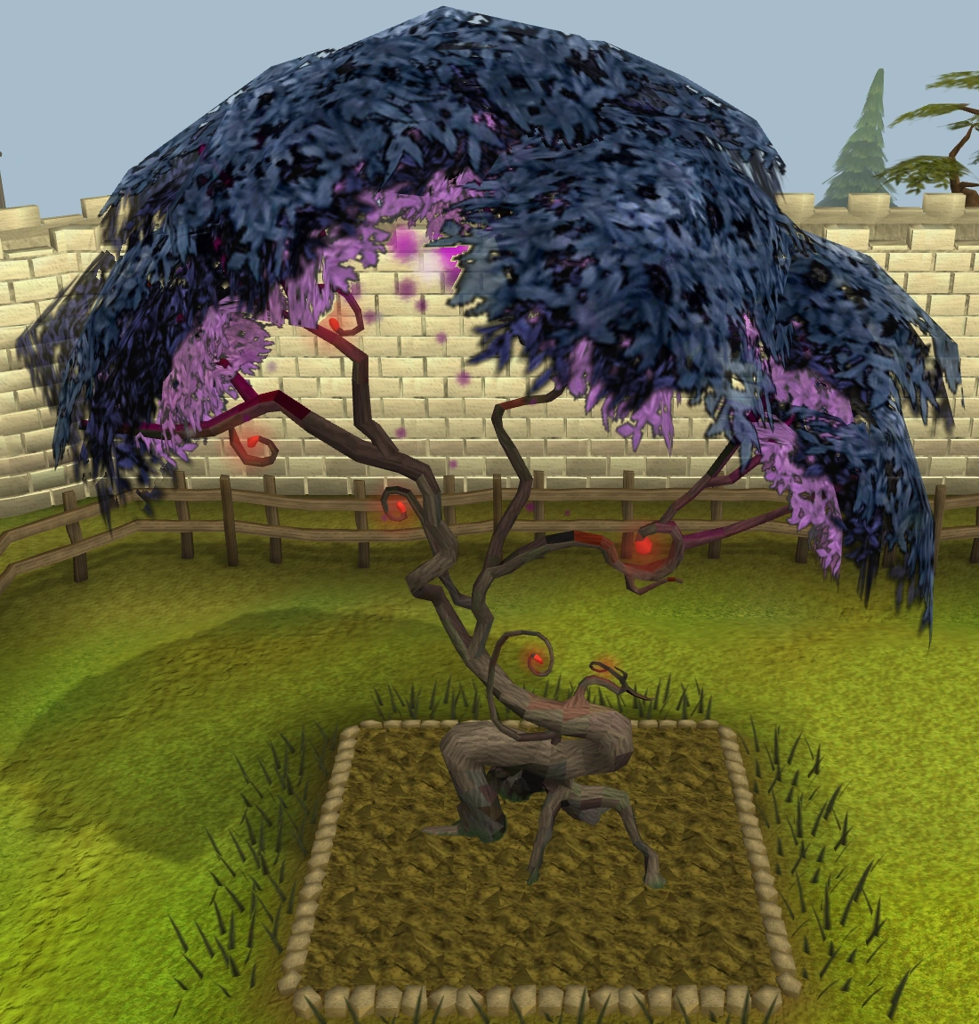 Runescape Berry Bush Patch