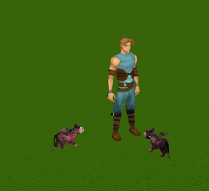 Pets fighting