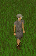 Emote, Freeze