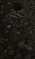 Skelet runescape