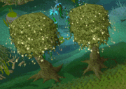 Runescape skills woodcutting magictrees