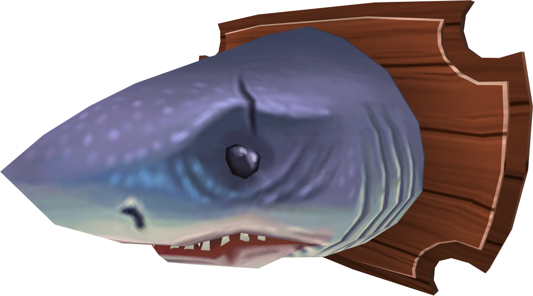 mounted great white shark
