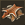 Fur 'n' Seek icon