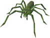 Jungle Spider