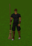 Broom, sweep