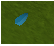 Woad leave runescape