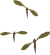 Mosquito swarm 3