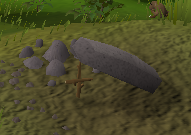 Deadfall trap