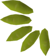 Willow seed detail