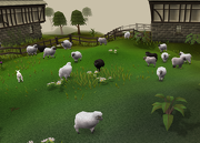 180px-Sheep pen