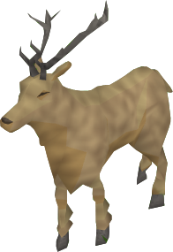 Hirvi2